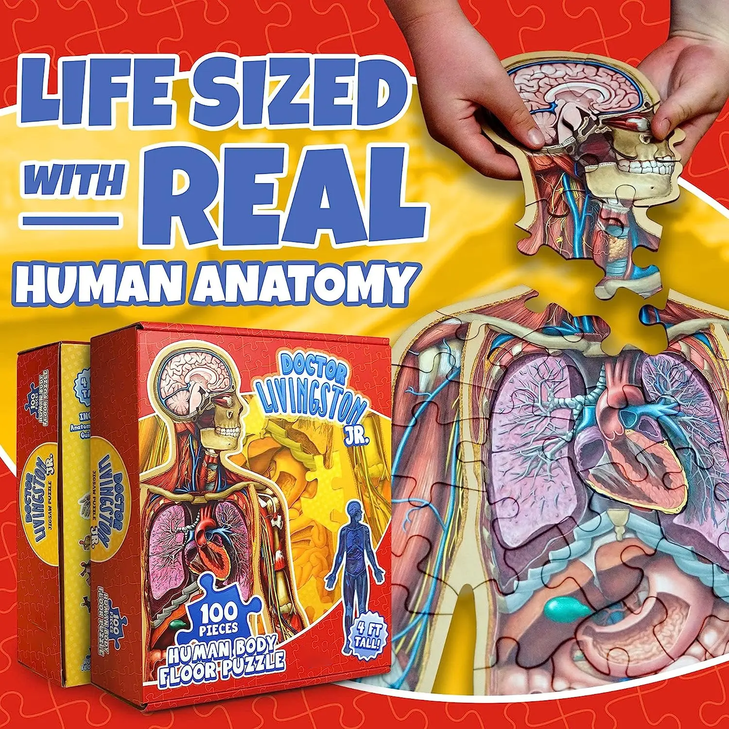 ⏰Last Day Promotion 49% OFF✨Kid's 100 Piece Human Body Floor Puzzle