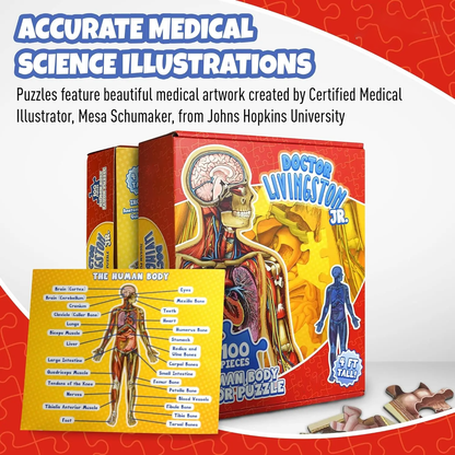 ⏰Last Day Promotion 49% OFF✨Kid's 100 Piece Human Body Floor Puzzle