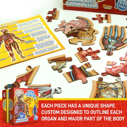 ⏰Last Day Promotion 49% OFF✨Kid's 100 Piece Human Body Floor Puzzle