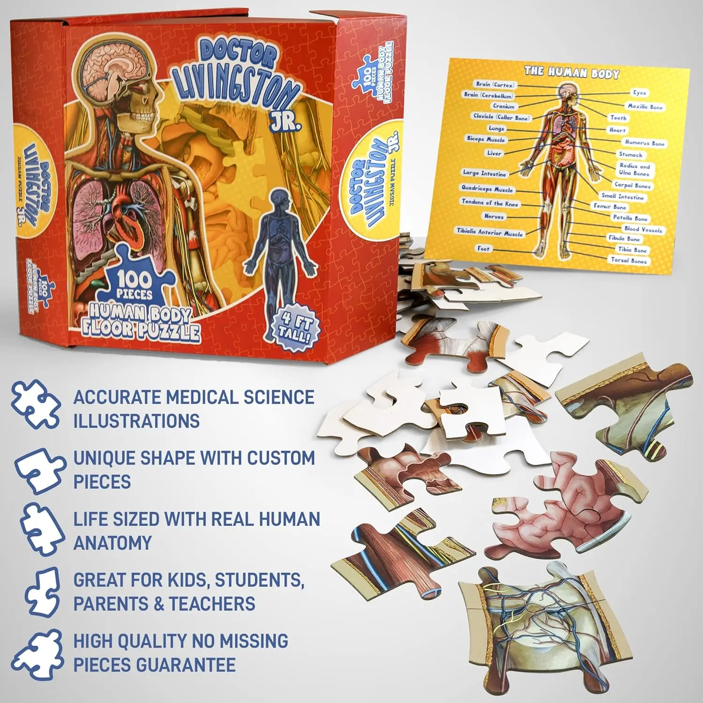 ⏰Last Day Promotion 49% OFF✨Kid's 100 Piece Human Body Floor Puzzle