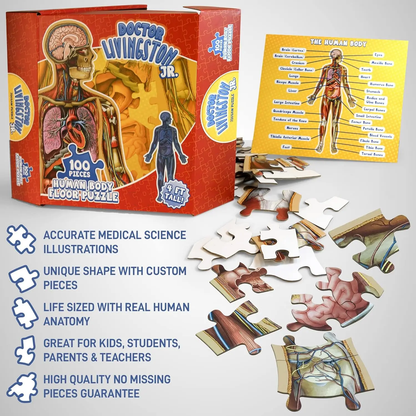 ⏰Last Day Promotion 49% OFF✨Kid's 100 Piece Human Body Floor Puzzle