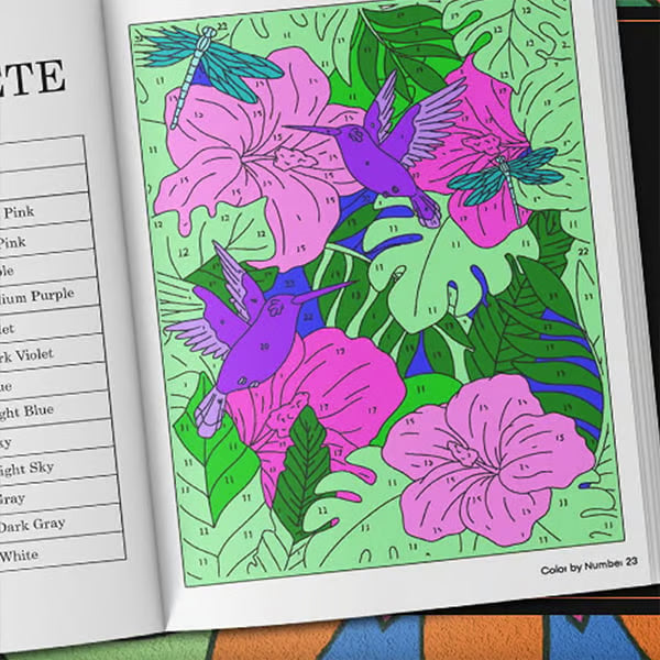 Color By Number Coloring Book for Adults